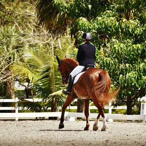 Meet your Posher, Katy